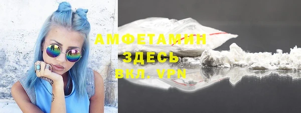 твердый Ельня