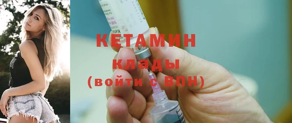 твердый Ельня