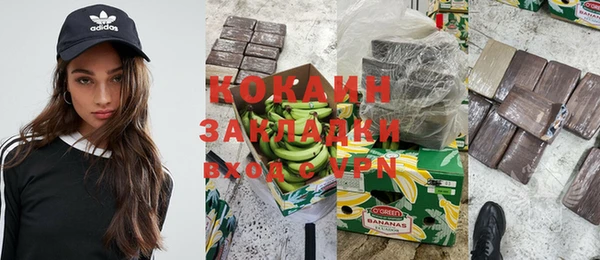 твердый Ельня