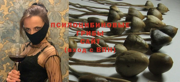 твердый Ельня