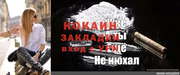 твердый Ельня