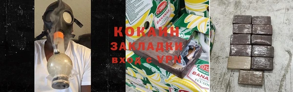 твердый Ельня