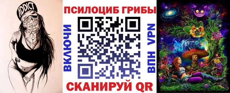 Псилоцибиновые грибы Psilocybe  Знаменск 